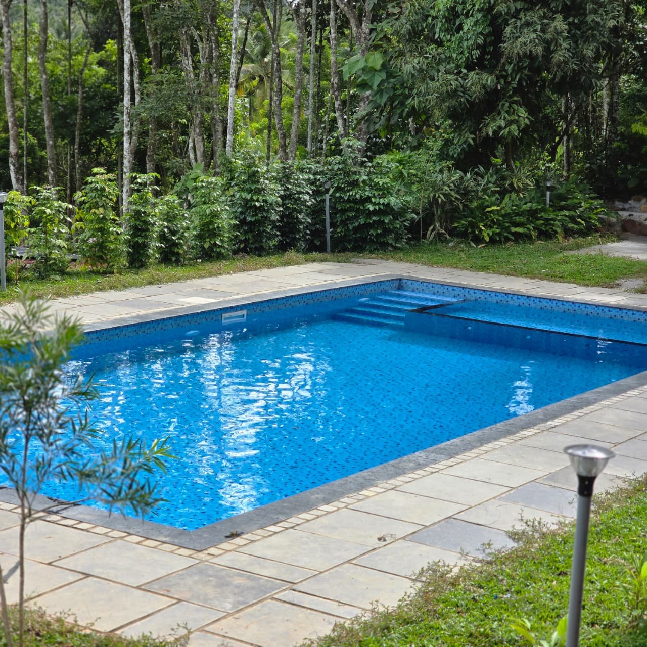 Private swimming pool surrounded by trees