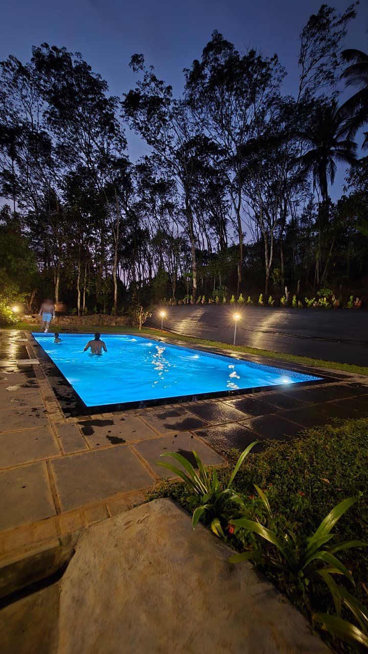 Pool lit up at night with trees behind