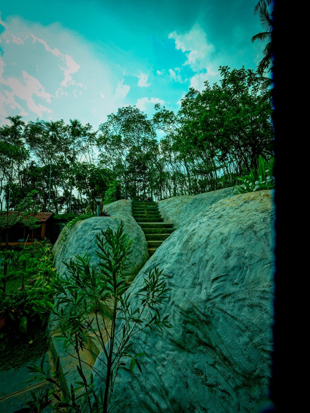 Natural rock formation with steps among trees