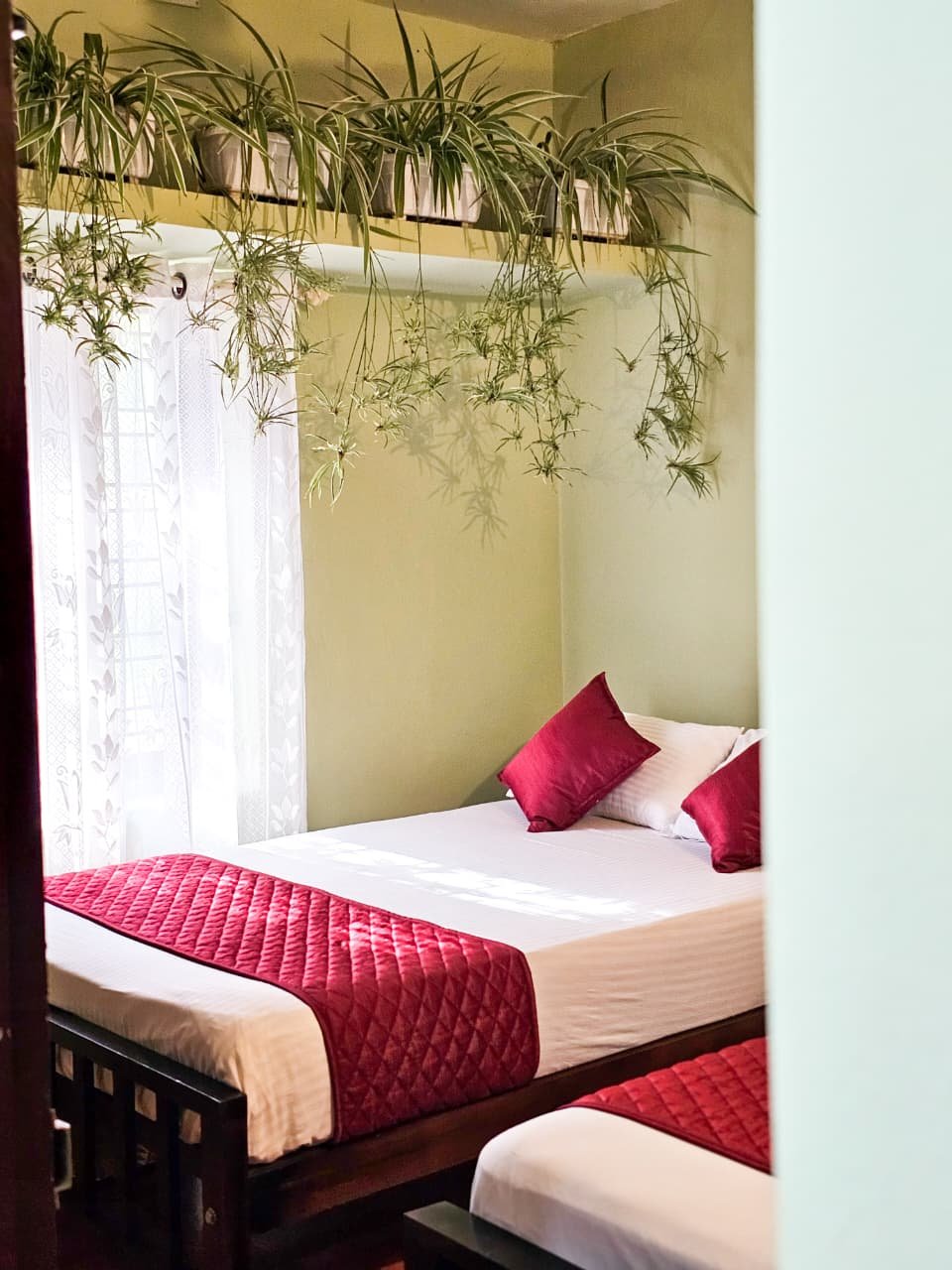 Bed with red cushions beside a sunny window