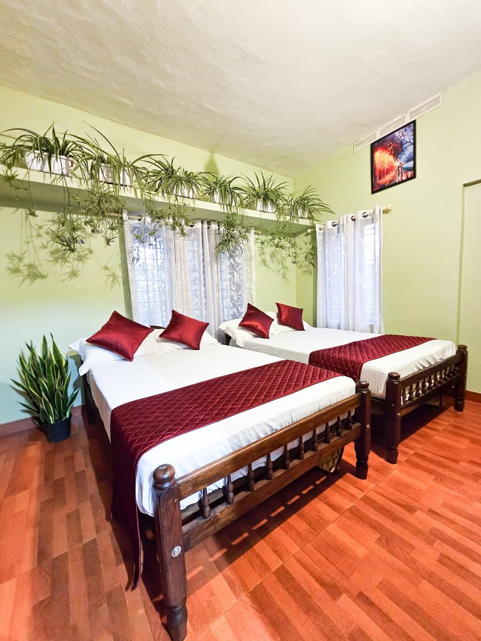 Twin double beds under a window shelf of plants